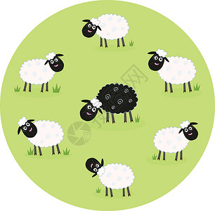 局外人在白羊家庭中间 一只黑羊孤单孤单农场震惊压力寂寞人群羊毛快乐草地情感插图设计图片