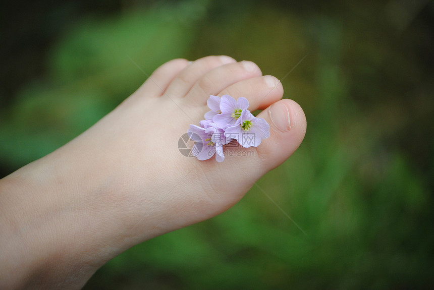 幼儿脚脚趾皮肤花园紫色孩子绿色图片