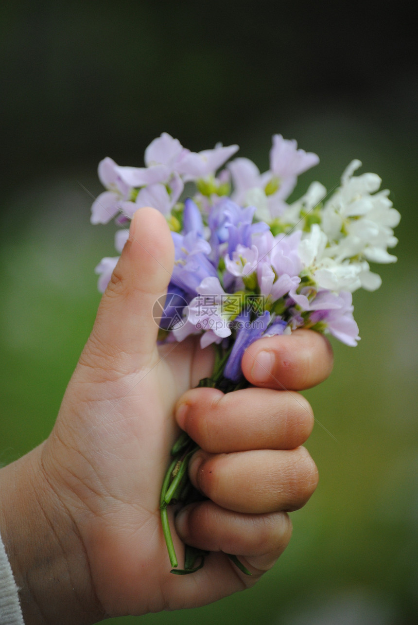 盛花花园花束孩子绿色紫色图片