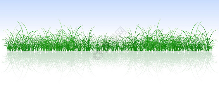 春季字段季节反射活动草药植物地面场地绿色树叶生态背景图片