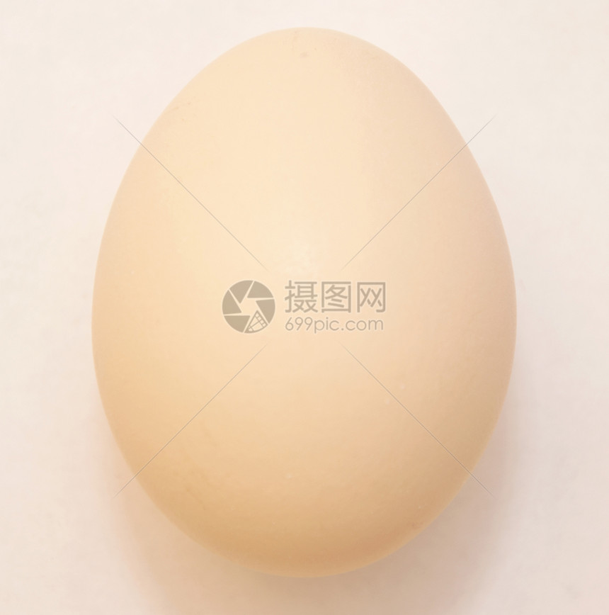 孤立的鸡蛋动物食物白色对象图片