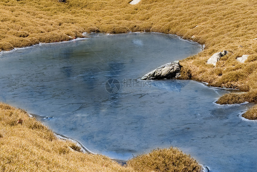 美丽的奇特冰池表面和草地孤独太阳天气岩石冷藏水晶池塘冻结季节反射图片