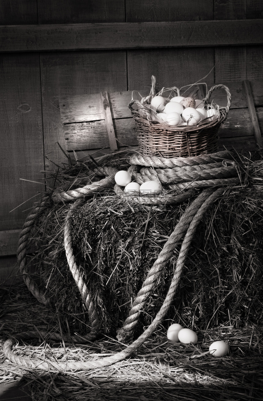 一片干草上一篮子鸡蛋生物农村食物谷仓绳索羽毛稻草脆弱性鸡舍乡村图片