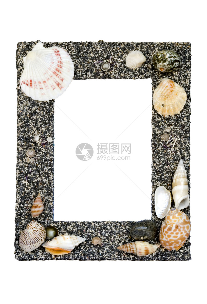Shell 图片框架贝壳甲壳动物摄影照片海洋礼物图片