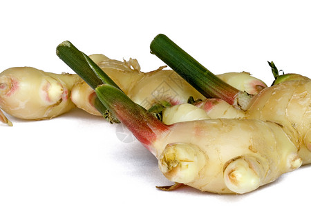 新鲜生姜食物烹饪热带香料植物背景图片