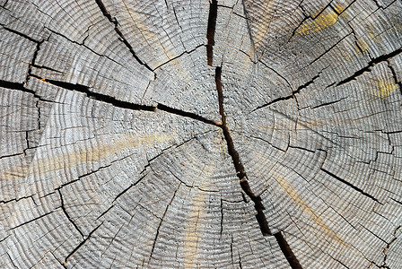 木材木头风格装饰硬木背景图片