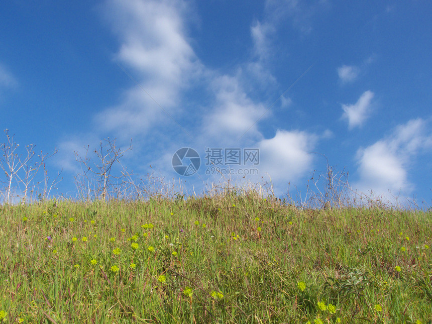 草地和天空背景场地蓝色白色多云绿色图片