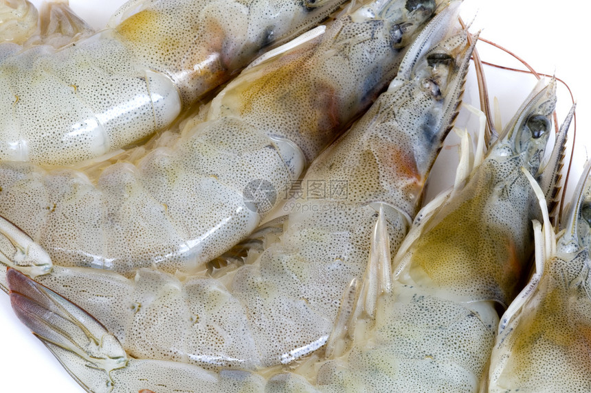 新鲜虾海鲜贝类盘子海洋烹饪美食餐厅动物用餐食物图片