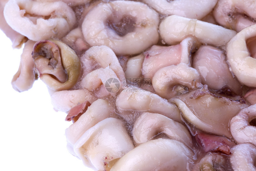 被孤立的冷冻乌奎环市场宏观午餐营养章鱼海鲜乌贼食物烹饪海洋图片