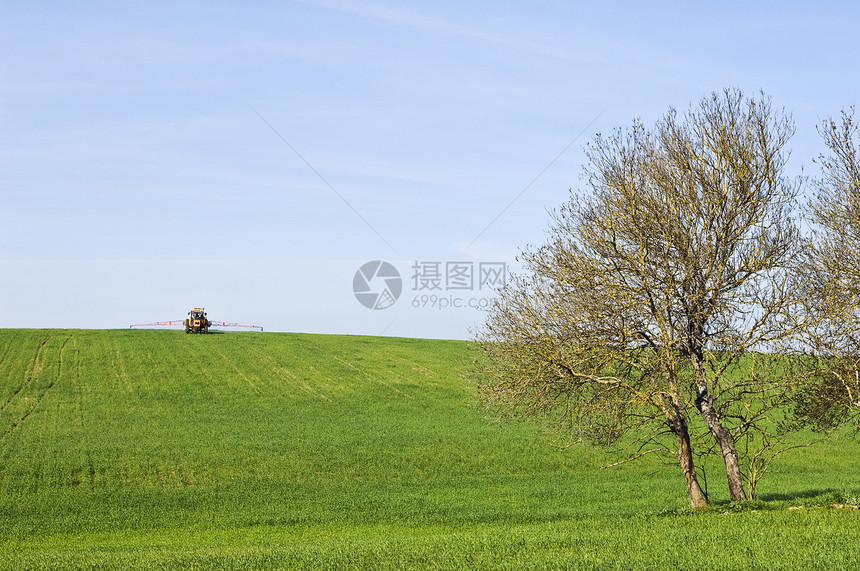 农村风景自由孤独场地环境假期场景地平线空气晴天植物图片