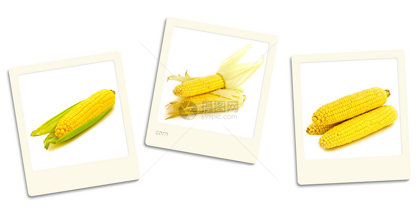 玉米照片图片