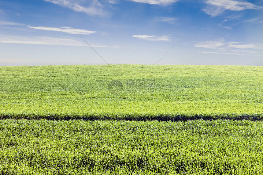 作物字段场地国家全景草地季节农场农村树叶远景植物图片