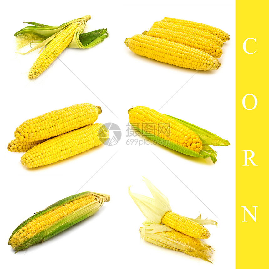 一套玉米图片