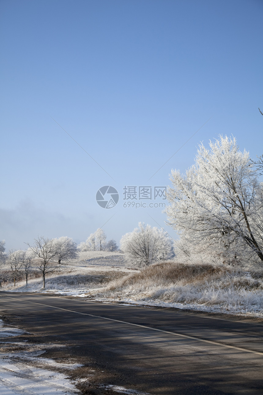 公路道路树木天空旅行曲线植被环境场地荒野图片