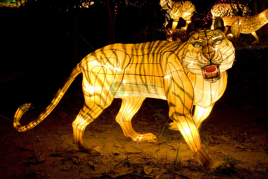 虎灯动物辉光灯笼照明灯泡图片