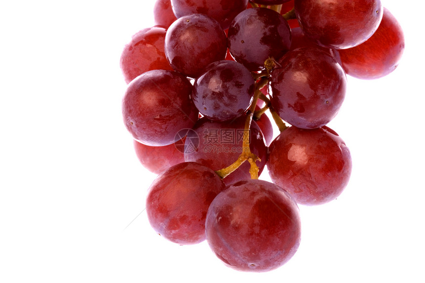 孤立的红葡萄水果小吃生产营养甜点红色饮食紫色食物宏观图片