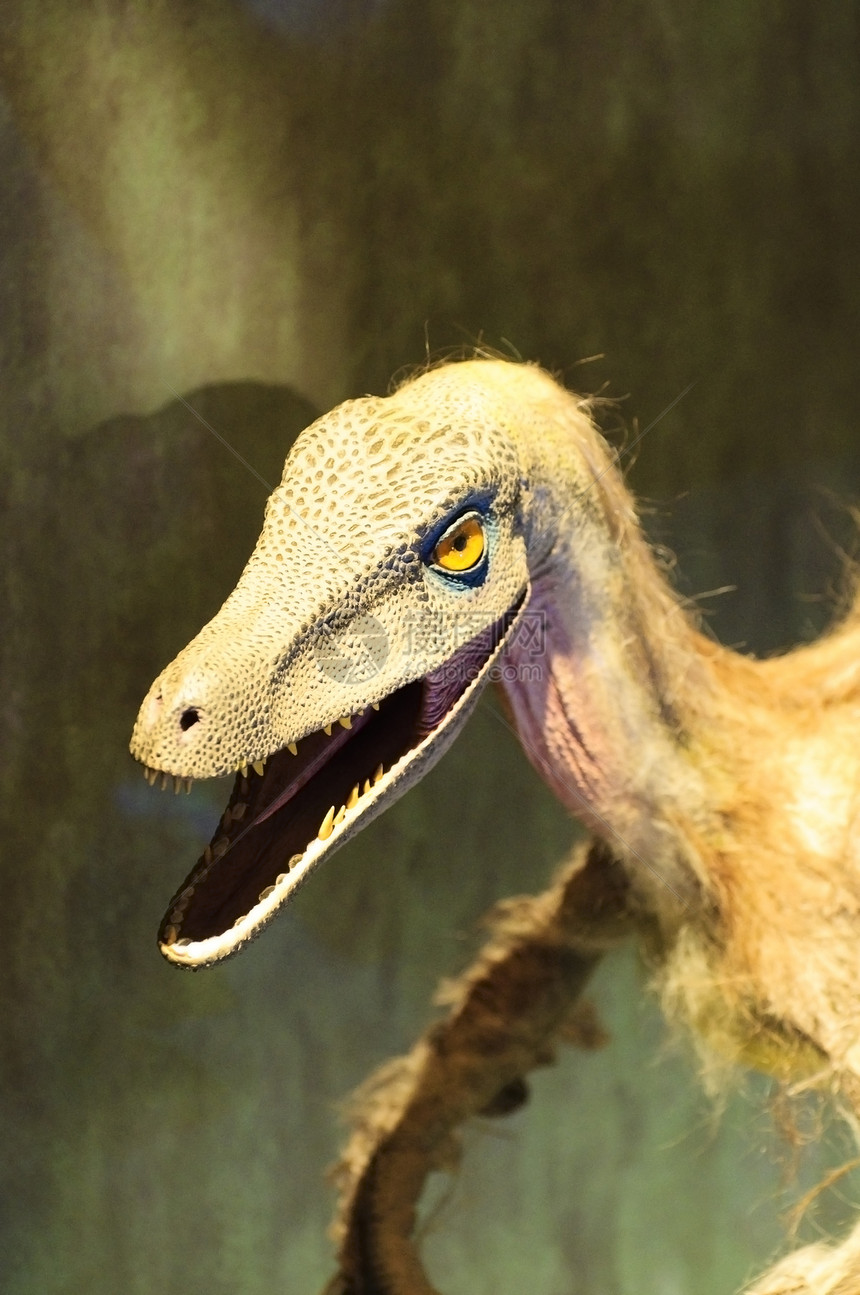 恐龙锥体解剖学科学生物学动物灭绝图片