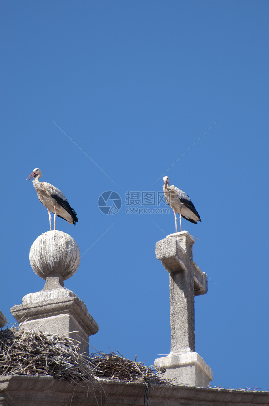 斯沃克天空动物建筑图片