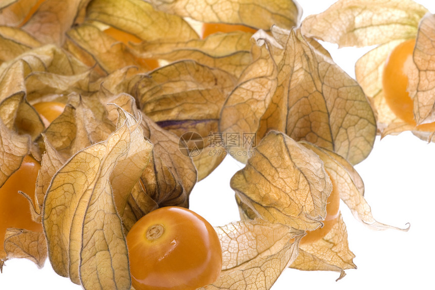孤立的果莓角食品橙子甜点食物维生素季节生产植物营养酸浆图片