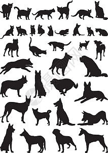 黑色剪贴画猫和狗收藏小猫剪贴绘画哺乳动物黑色插图剪影曲线朋友们插画