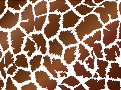 底底长颈鹿皮肤样式热带荒野野生动物打印动物园背景图片