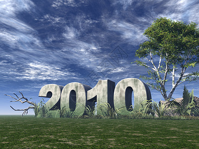 2010年天空插图桦木时间罪行蓝色植物场地草地岩石背景图片