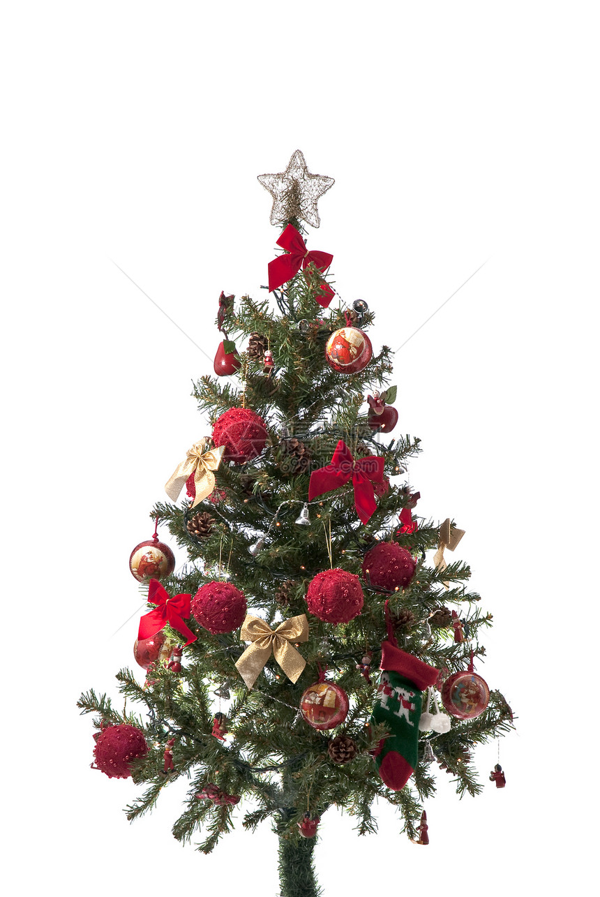 圣诞树绿色白色星星明信片松树红色金子图片