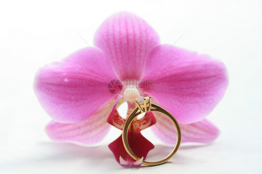 粉红兰花和独白订婚戒指图片