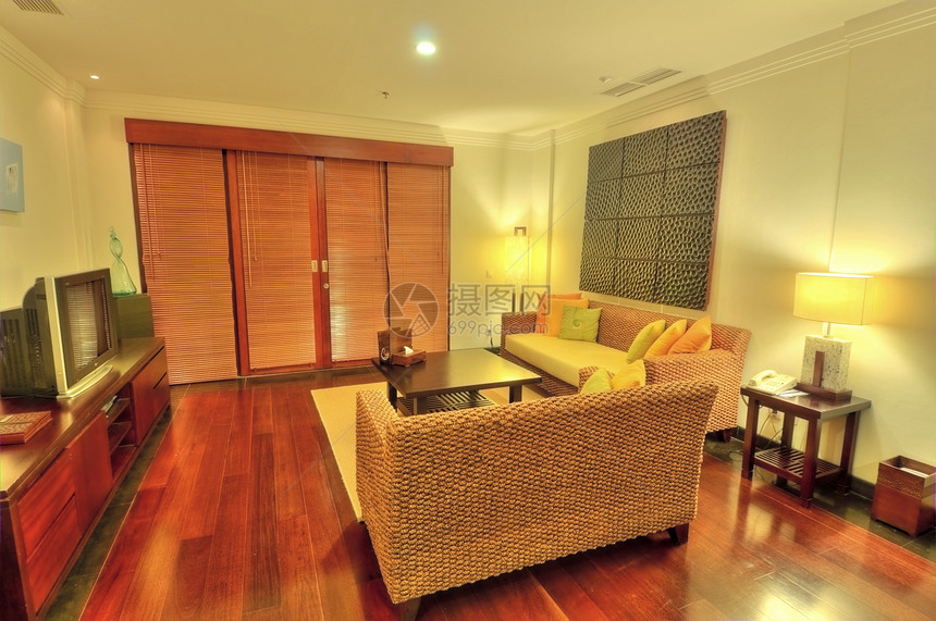 客厅地毯地面橡木桌子奢华插图房间财产休息室建筑图片