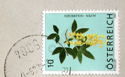 奥地利邮票仪表邮政商业空气空邮信封花朵邮件邮资船运背景图片