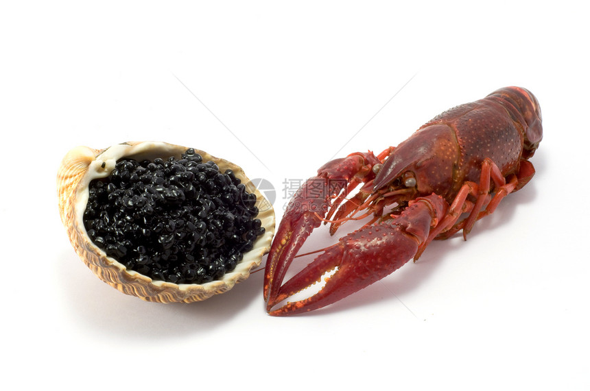 鱼子酱黑色食物美食贝壳小吃餐厅螃蟹海洋龙虾宏观图片