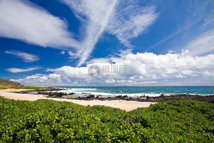 海滩风景蓝色场景支撑景观多云海洋露头岩石植被植物图片