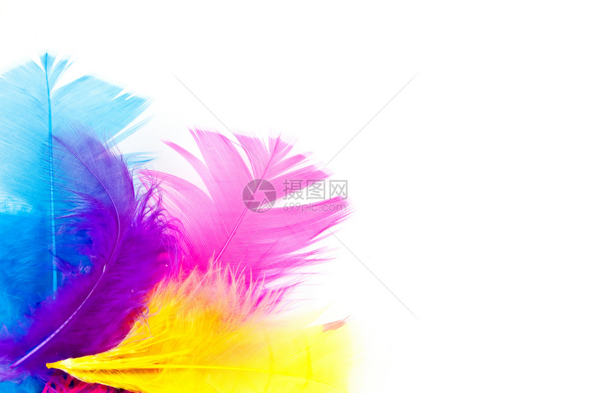 带复制空格的彩色羽毛白色紫色黄色艺术蓝色粉色图片