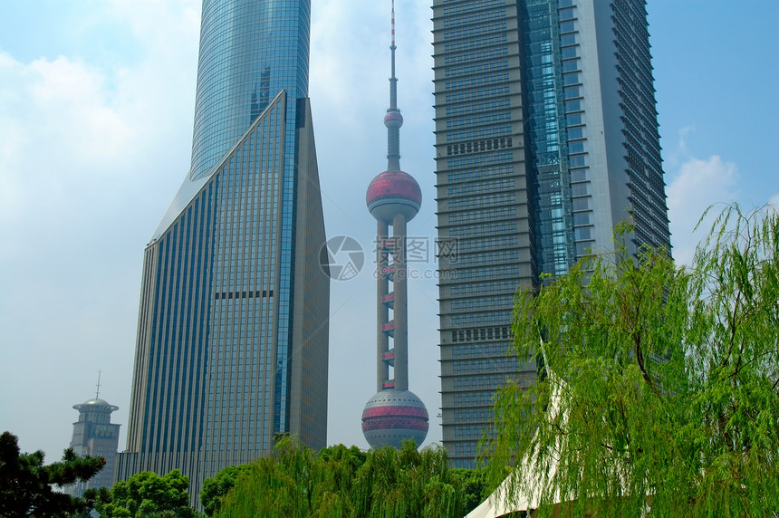 上海摩天大厦玻璃远景大都市珍珠建筑经济学植物全景天际建筑学图片