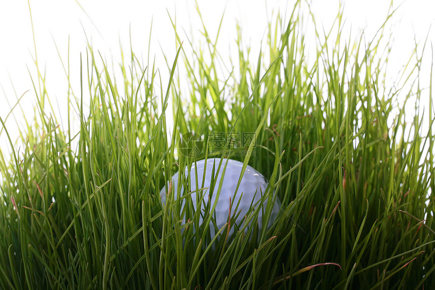 球打高尔夫球夫球游戏绿色运动白色草地配饰图片