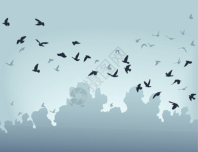 莲花山云景移徙移民设计团体航班云景蓝色鸽子插图栖息地飞行野生动物插画