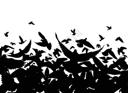 鸽子png鸽子飞行运动翅膀边缘插图行动动物元素航班动物群野生动物插画