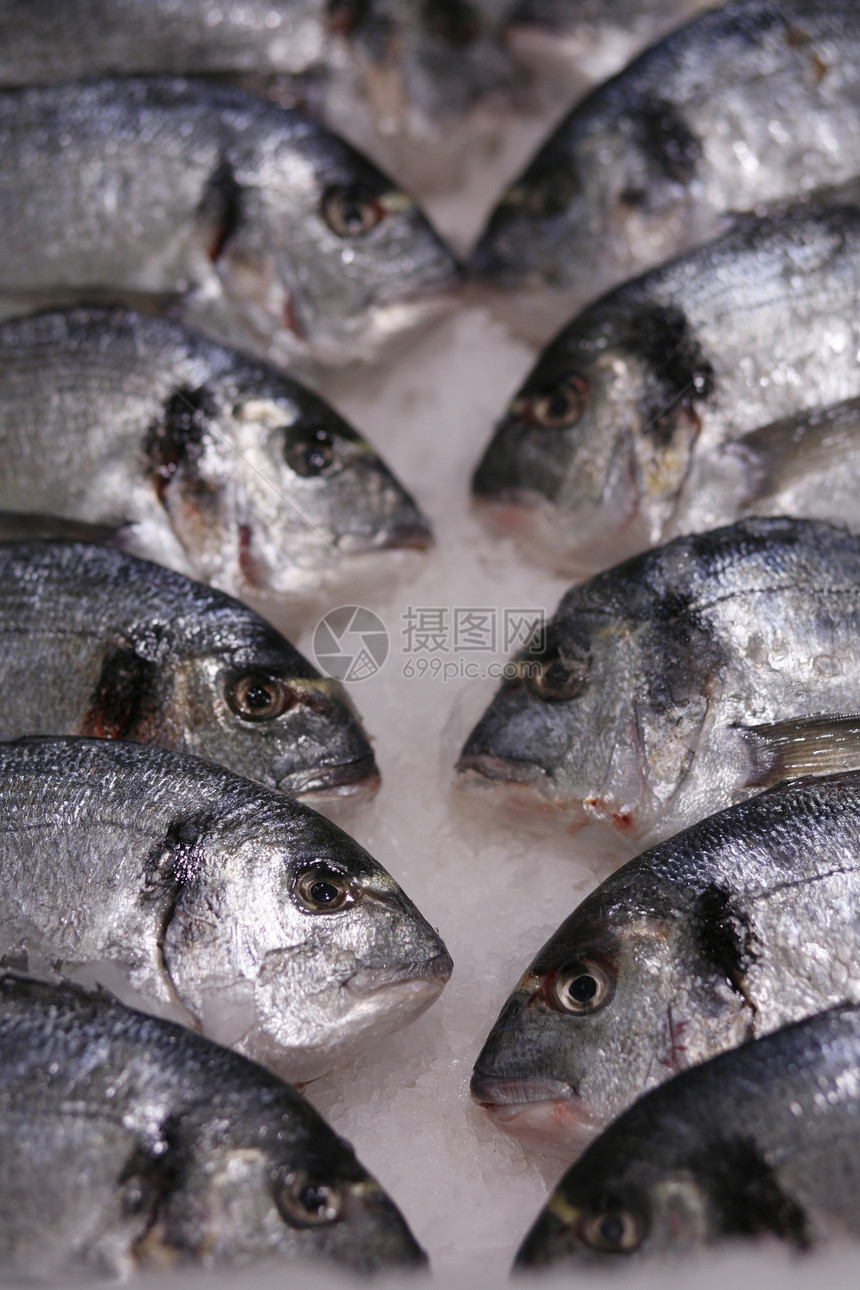 冰上鲜鱼贮存市场销售海洋剑鱼食物海鲜冻结眼睛图片