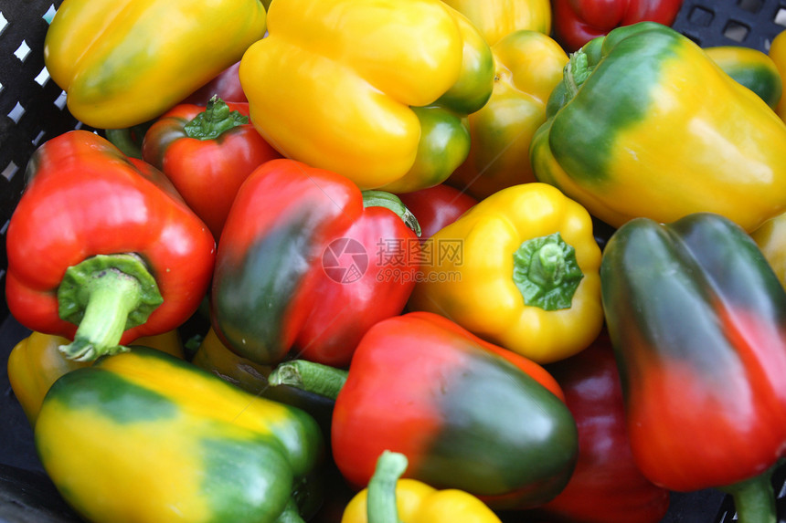 新鲜蔬菜辣椒植物季节香料植物学园艺水果绿色美食食物叶子图片