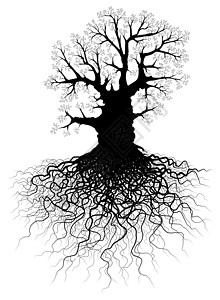 奥根有根树的树网络纠纷枝条黑色插图生活林地生态木头树干插画