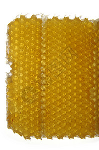 亲爱的食物黄色金子蜜蜂蜂窝蜂巢背景图片