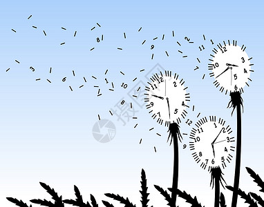 分散的蒲公英时钟种子天空植物插图时间漂移插画