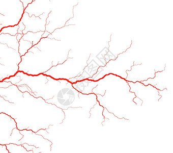 用户插图生活流动红色医疗动脉生物学毛细管线条血管背景图片