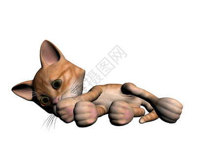 猫类动物香椿休息卡通片白色睡眠背景图片