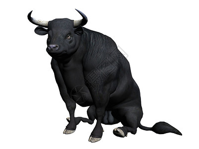 公牛喇叭白色插图动物光线背景图片