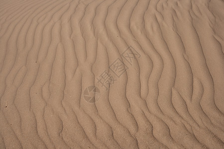 沙质线条波浪涟漪粮食背景图片