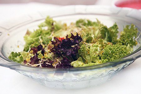 保持身材新鲜混合沙拉主菜美食草药绿色素菜菜单盘子餐具白色叶菜背景