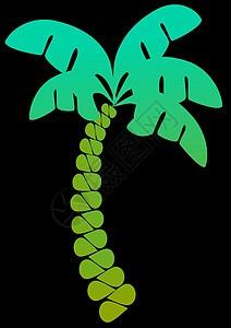 棕榈树假期热带树木太阳插图背景图片