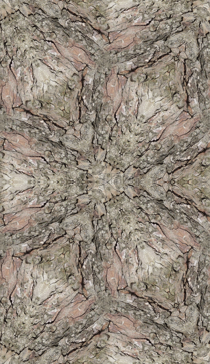 无缝的巴克纹理模式 14木材木头宏观墙纸材料图片