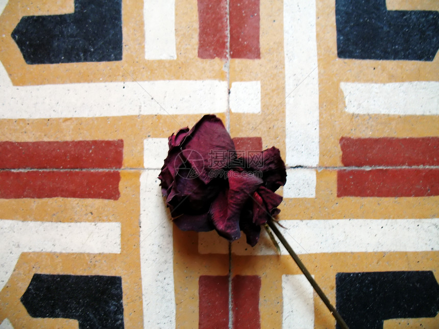 玫瑰花在旧地板上图片